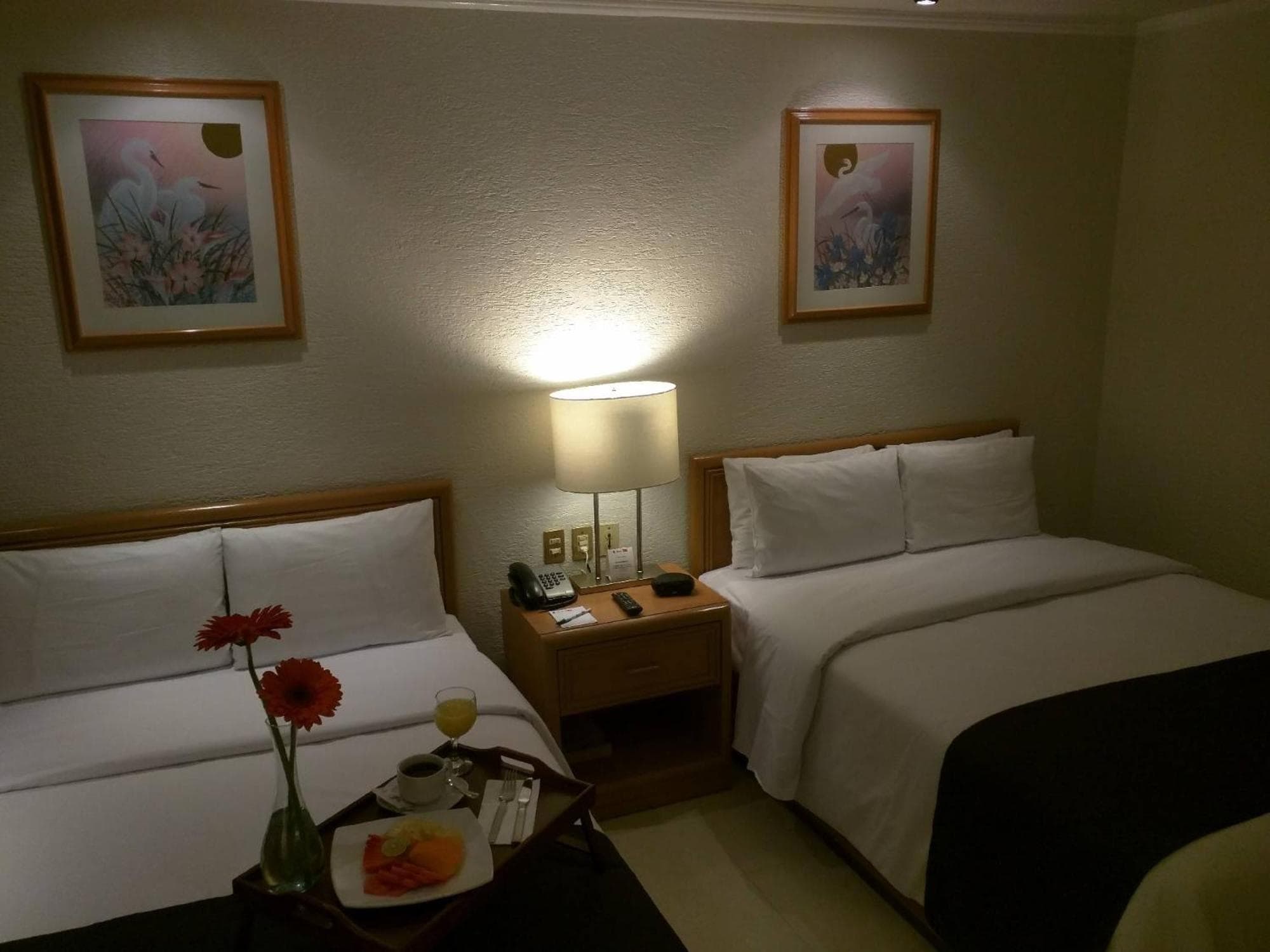 Hotel PF