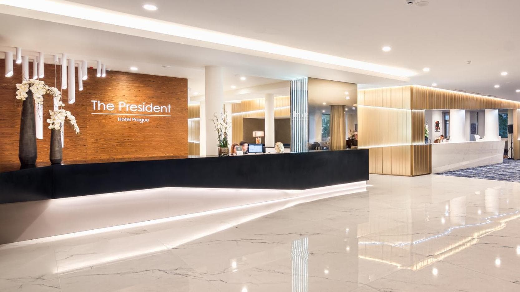 recepcion & lobby