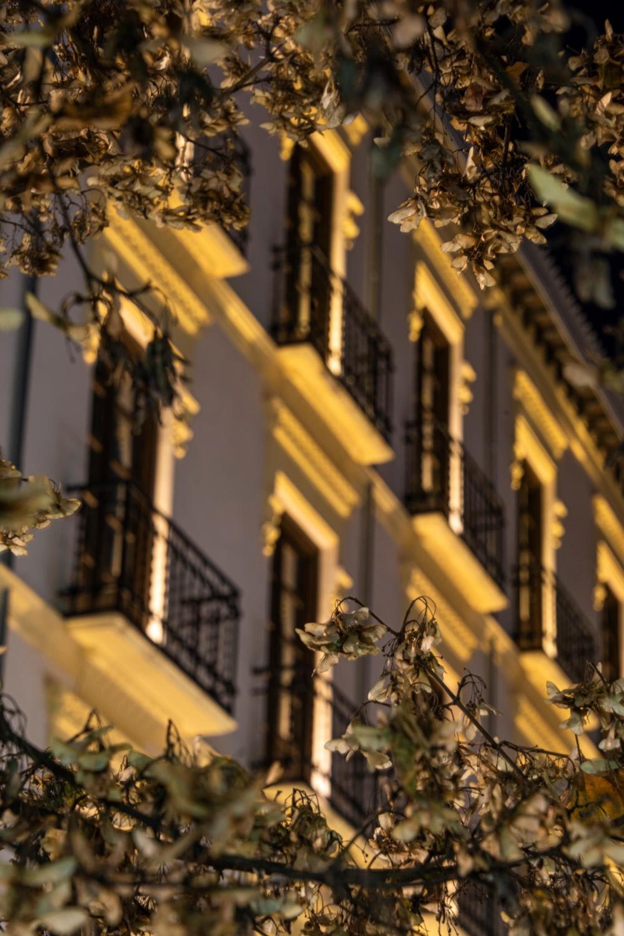 La Casa de la Trinidad