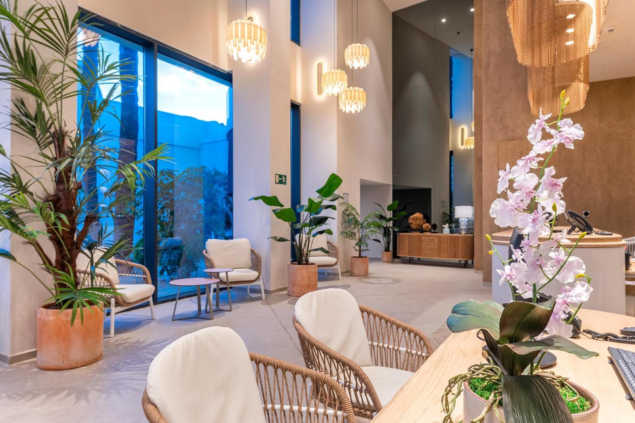 recepcion & lobby
