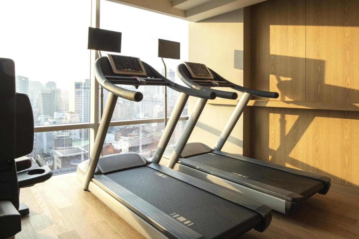 ibis Styles Ambassador Seoul Myeong-dong
