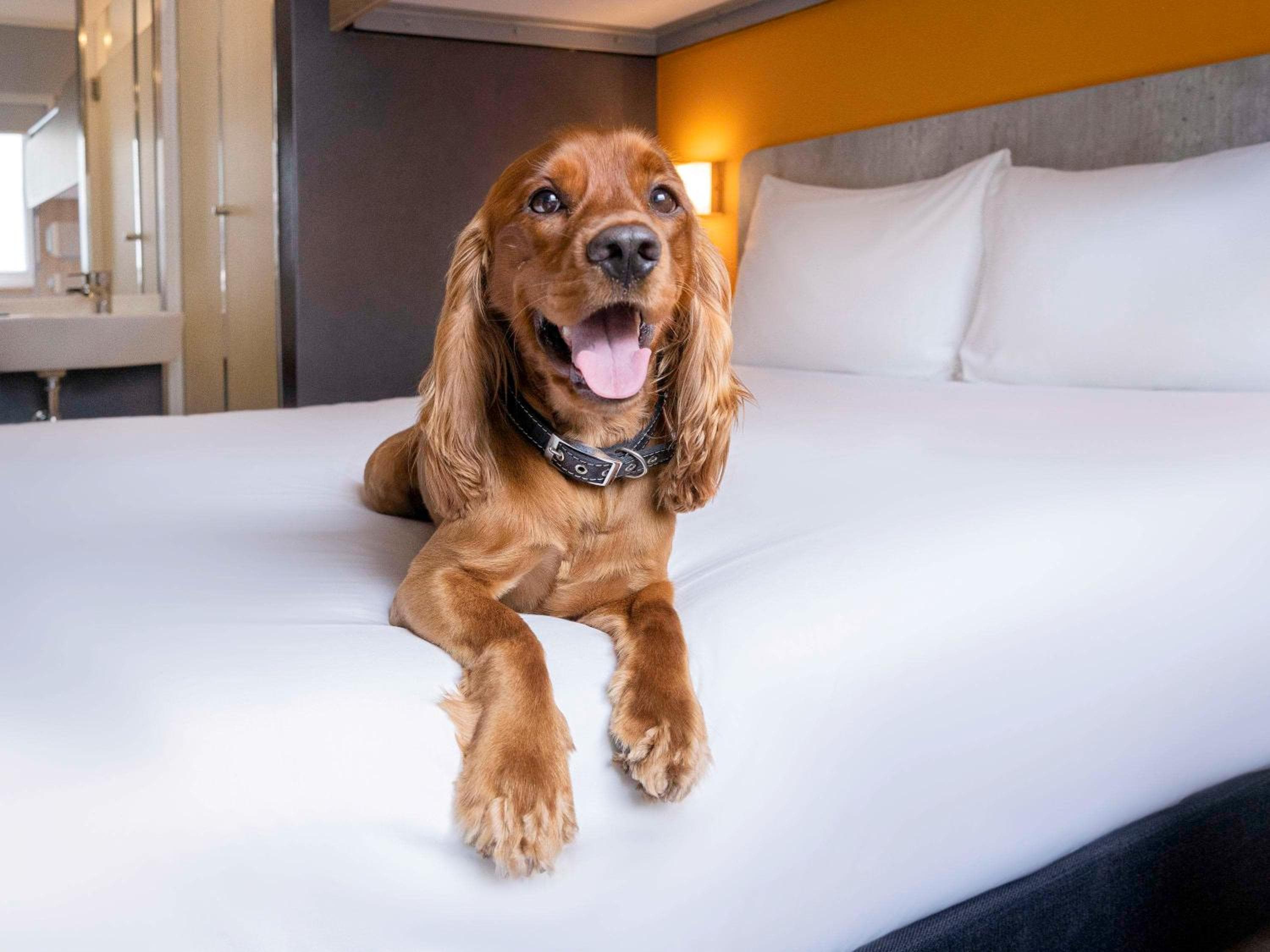 ibis budget Lima Miraflores