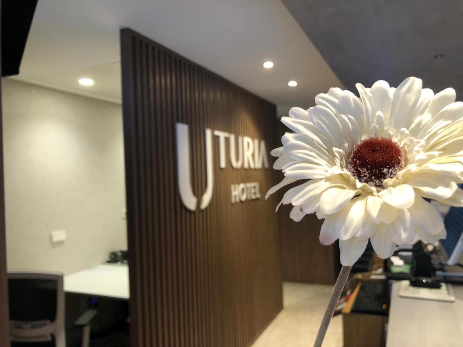 Hotel Turia Valencia