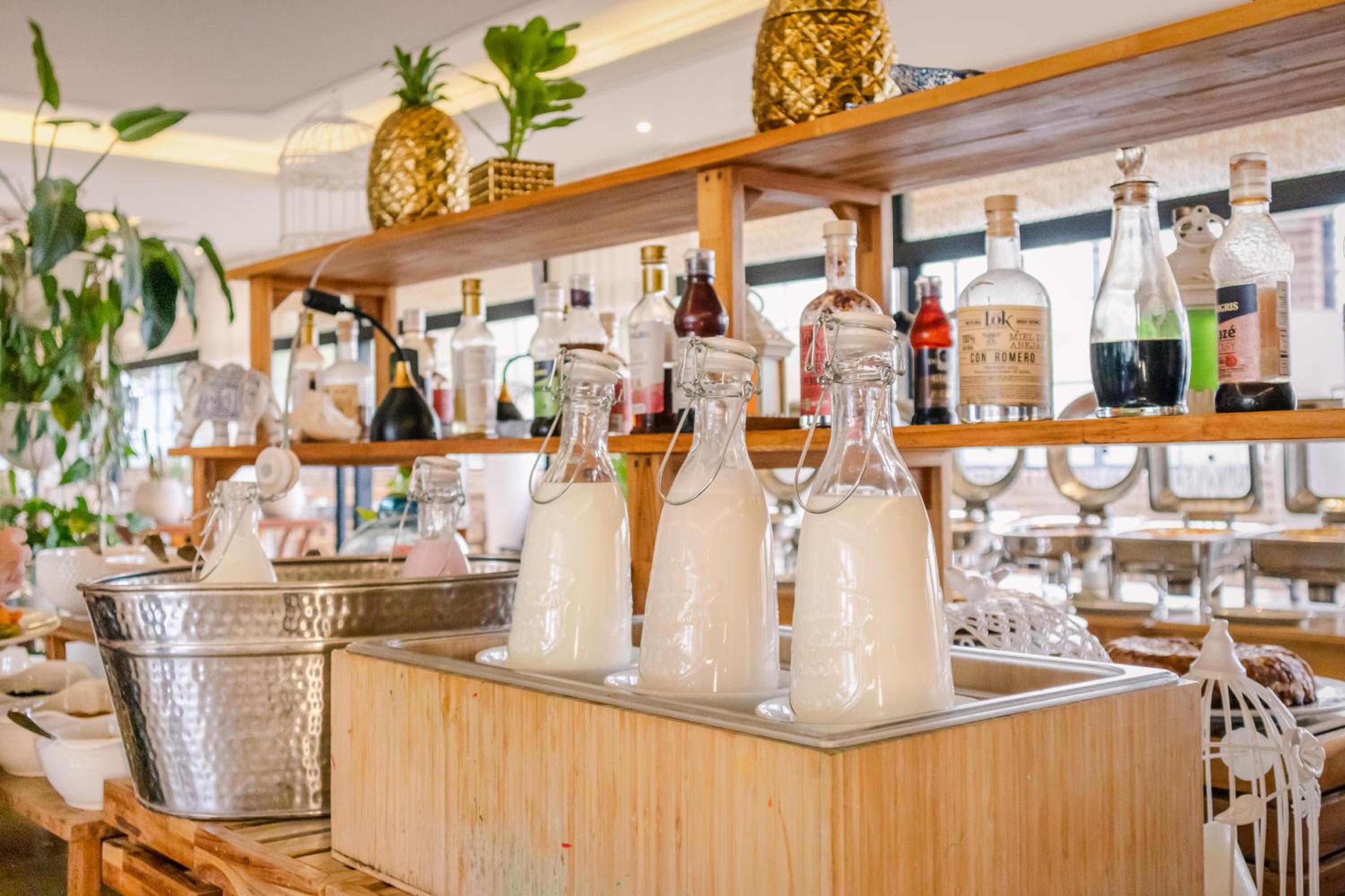 Hotel Caribe by Faranda Grand, a member of Radisson Individuals