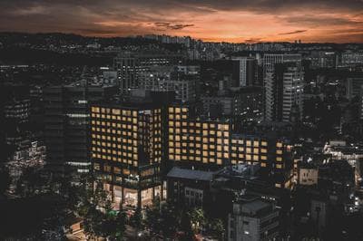 Nine Tree by Parnas Seoul Insadong