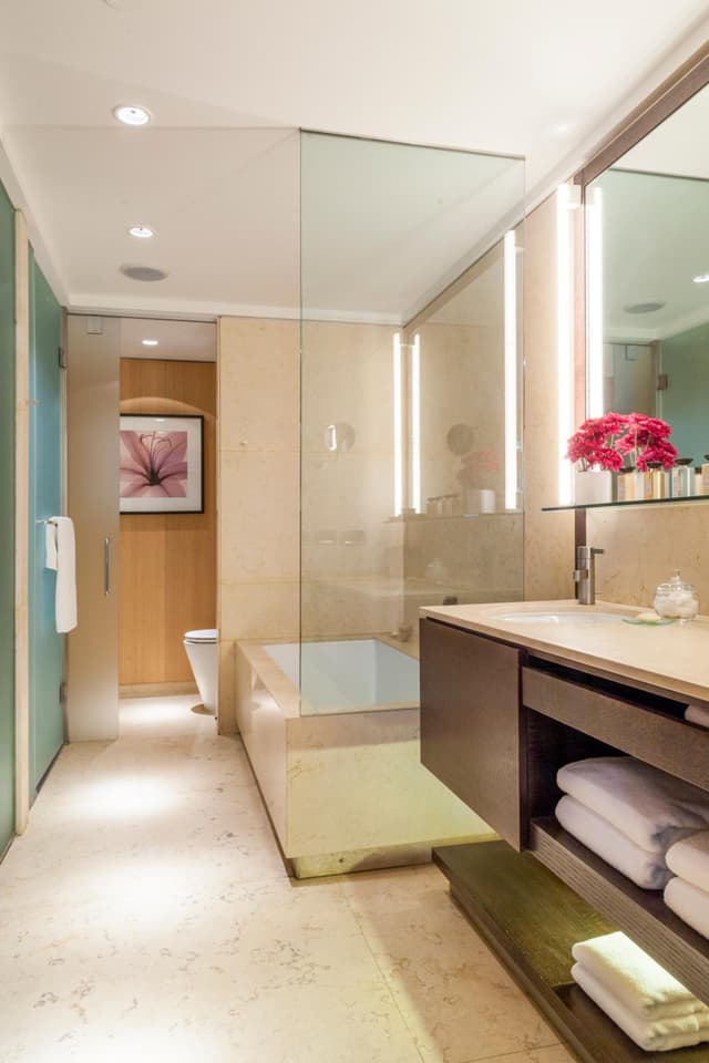 Deluxe Twin Room · photo 8