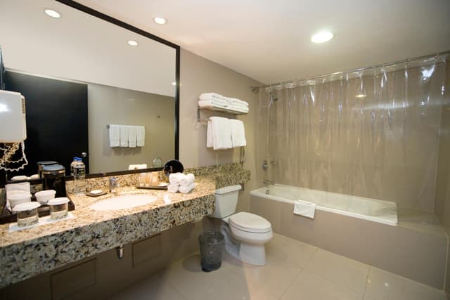 King Studio Suite · photo 6