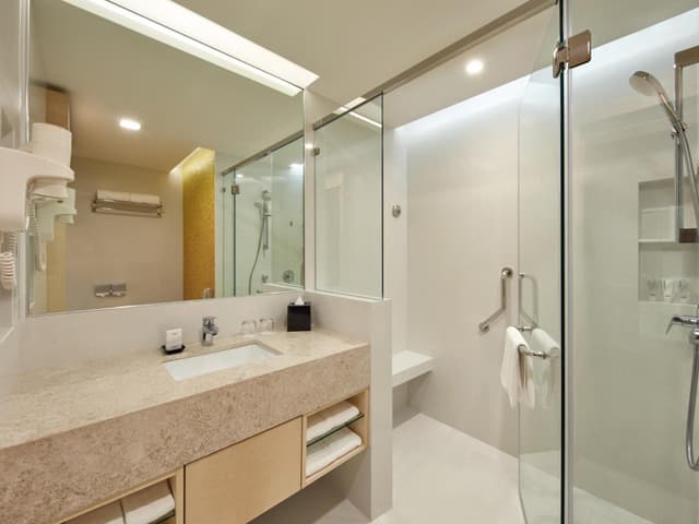 Deluxe Double or Twin Room · photo 1
