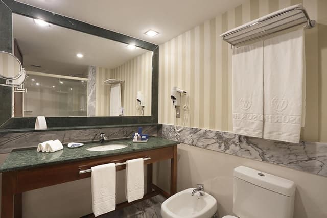Deluxe Plus Double Room · photo 4