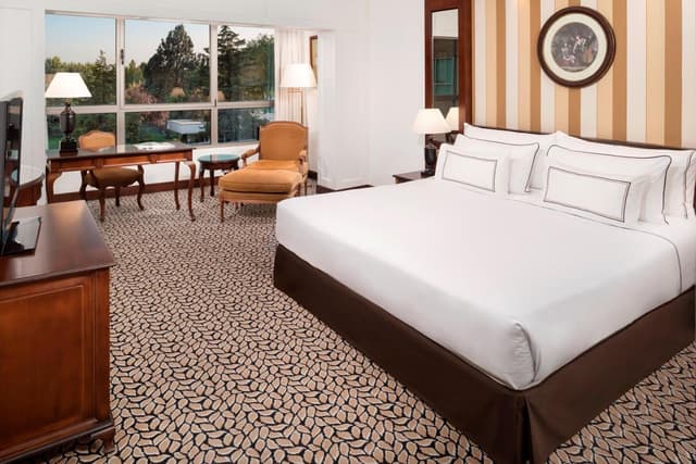 Superior Double or Twin Room · photo 4