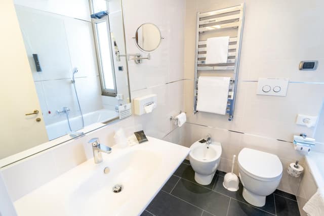 Habitación Doble Clásica o con Dos Camas Individuales · foto 4