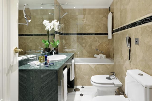 Double Deluxe Double or Twin Room · foto 4