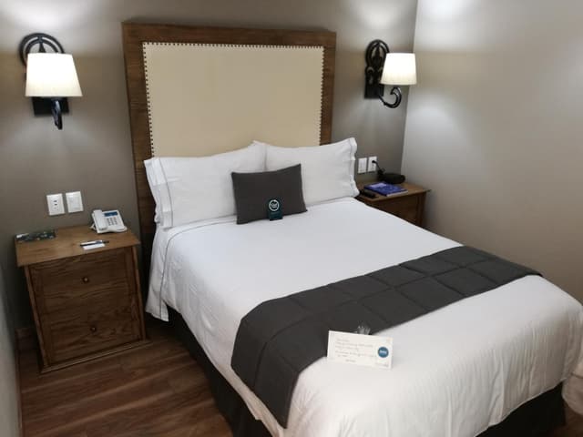 Standard Double Room - 1 Bed · photo 6