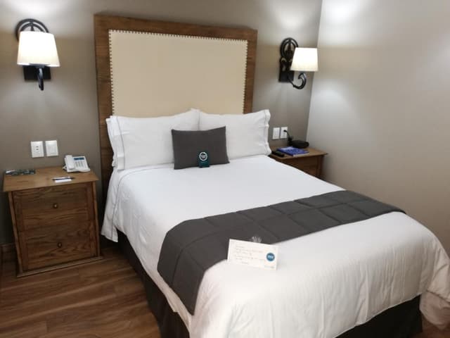 Standard Double Room - 1 Bed · photo 1