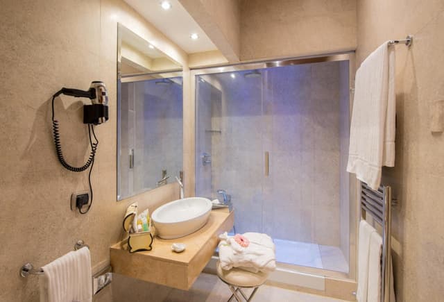 Superior Double or Twin Room · photo 7