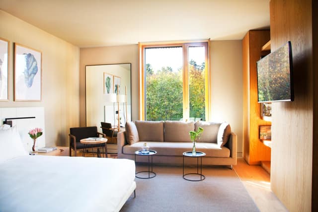 Junior Suite · photo 1