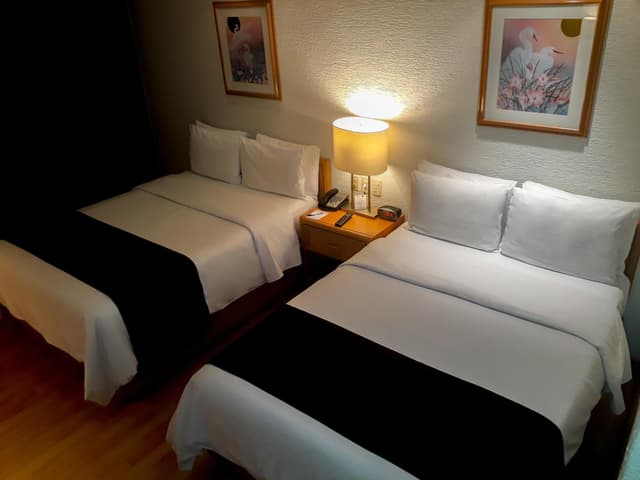 Economy Double Room · foto 8