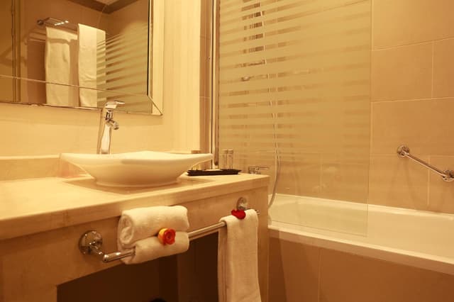 Privilege Room , Twin Beds, Garden View · photo 5