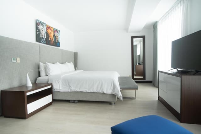 King Studio Suite · photo 1