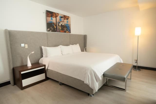 Premium King Room · photo 2