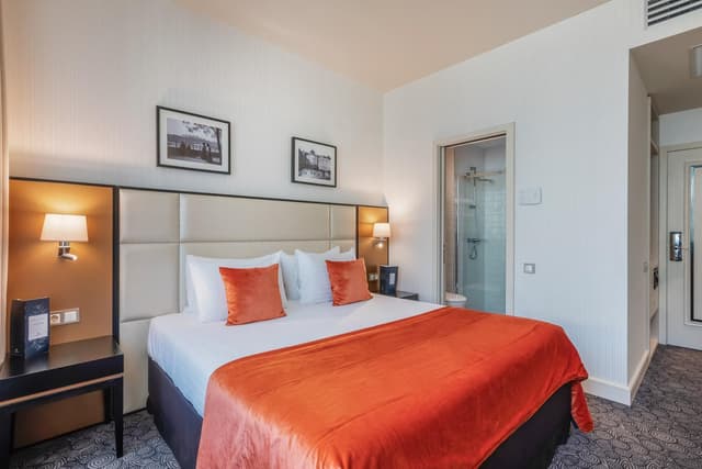 Standard Double or Twin Room · foto 7