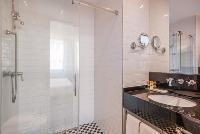 Standard Double or Twin Room · foto 4