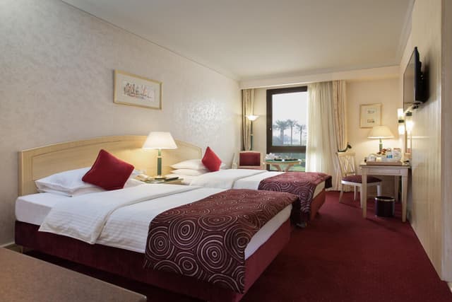 Standard Double or Twin Room with Garden View · photo 5
