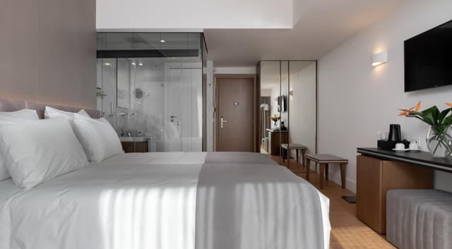 Classic Double or Twin Room · photo 1