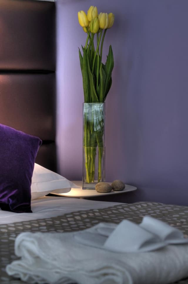 Superior Room with City View · photo 2