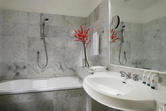 Superior Double or Twin Room · foto 2