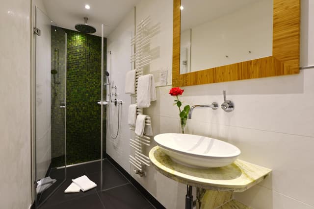 Standard Double Room · foto 2