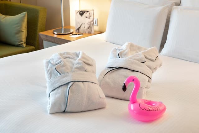 Premium Superior King Room · photo 3