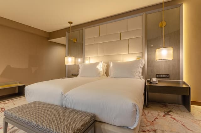 Superior Twin Room with Avenue View · photo 7