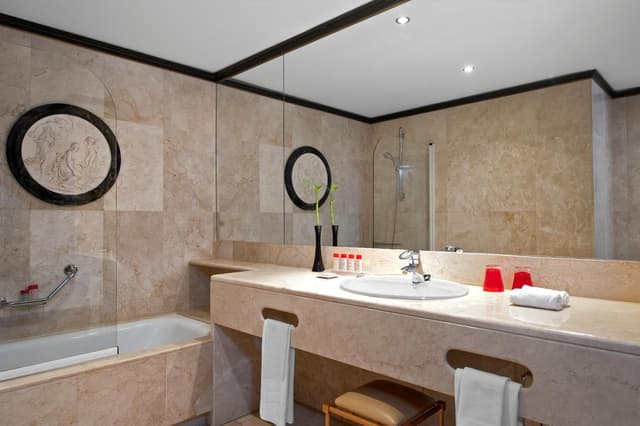 Deluxe Room · photo 4