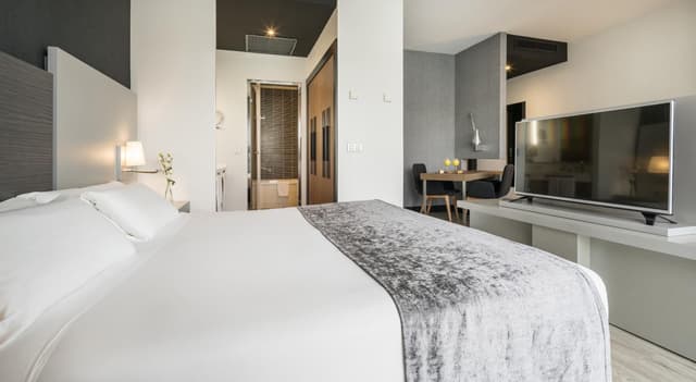 Superior Double or Twin Room · photo 1