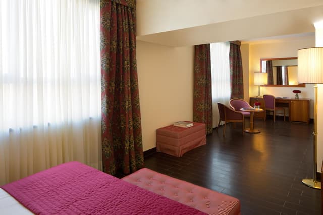 Executive Double or Twin Room · photo 8