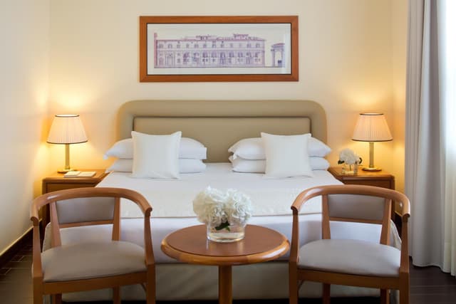 Executive Double or Twin Room · photo 2