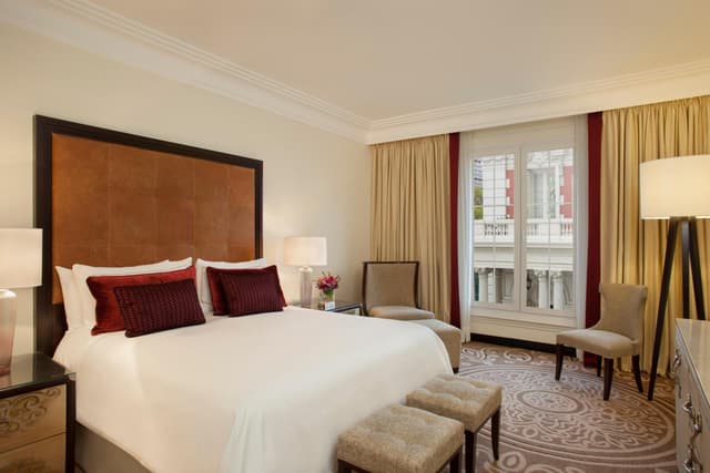 King Suite with Mansion View · photo 5