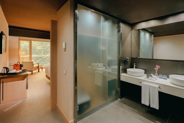 Superior Double or Twin Room with View · photo 2