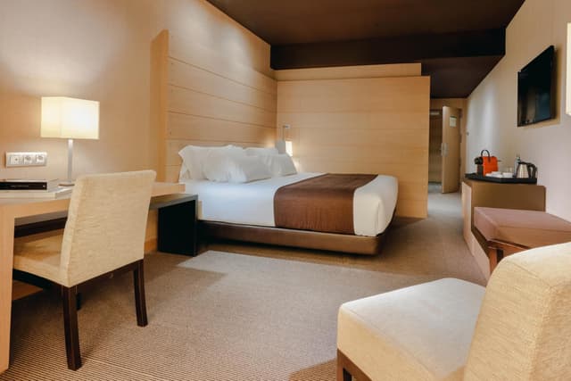 Superior Double or Twin Room with View · photo 5
