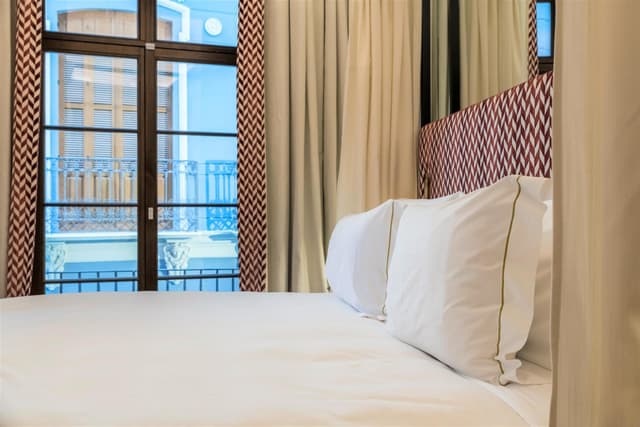 Deluxe Doble Palacio · foto 4