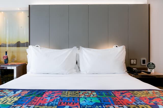 Standard Double Room · foto 3