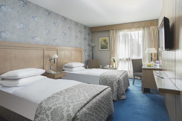 Deluxe Double or Twin Room with Garden View · photo 5
