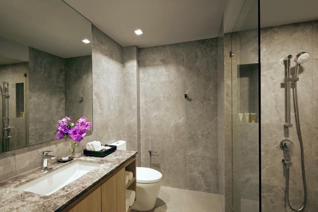 Deluxe Room · photo 4