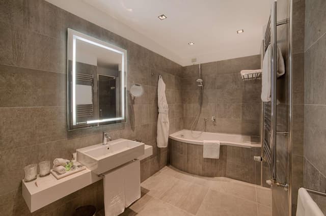 Superior Double or Twin Room · photo 6