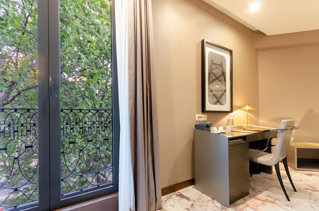 Superior Twin Room with Avenue View · photo 5