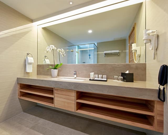 Deluxe Plus Double or Twin Room · foto 1