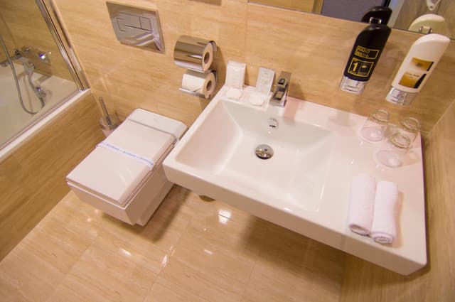 Deluxe Double Room · photo 6