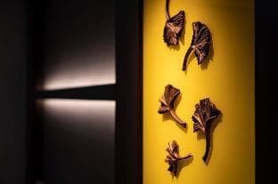 Habitación #535253220 · foto 4