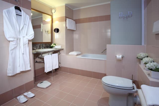 Executive Double or Twin Room · photo 7